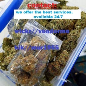 weedme420r's LeafedOut Profile