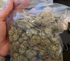 Micweed213's LeafedOut Profile