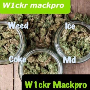 shako14's LeafedOut Profile
