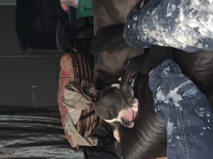 Downsouthstoner's LeafedOut Profile