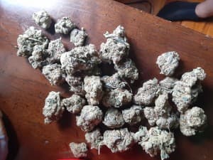 Youngmoney248's LeafedOut Profile