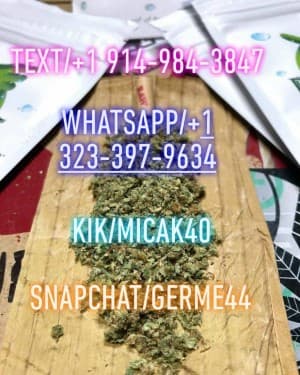 hmu4340's LeafedOut Profile