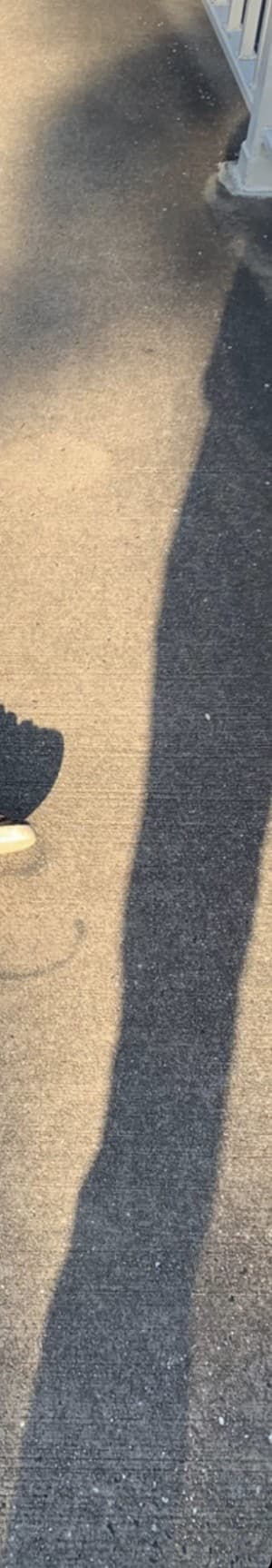 e-necrane's LeafedOut Profile