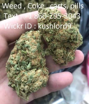 Weedseller2's LeafedOut Profile