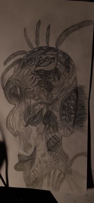 Bjornbuttler's LeafedOut Profile