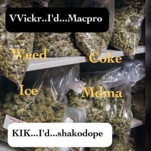 jansonmack's LeafedOut Profile