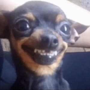 karbonsmile's LeafedOut Profile