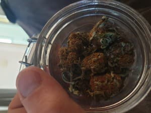Budz3166's LeafedOut Profile