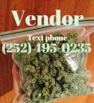 salesguy448's LeafedOut Profile