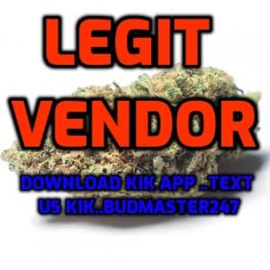 BuyWeeds-Girl-Scout-Cookie's LeafedOut Profile