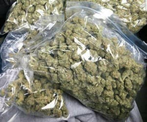 Weed-and-Buds4's LeafedOut Profile
