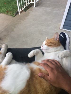 Tobias09's LeafedOut Profile