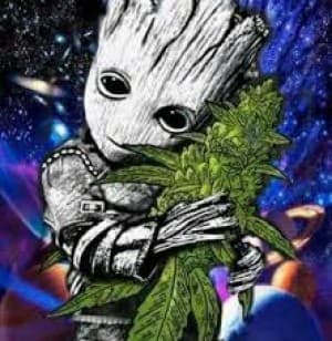 IamZoot's LeafedOut Profile