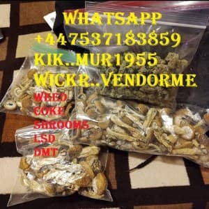 Buyweedhere000's LeafedOut Profile