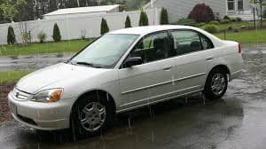 Masterminder's LeafedOut Profile