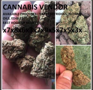 BUY-KUSH-420-POT-OGKUSH's LeafedOut Profile