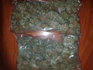 Thors420's LeafedOut Profile
