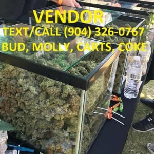 Gary-VENNDOR's LeafedOut Profile