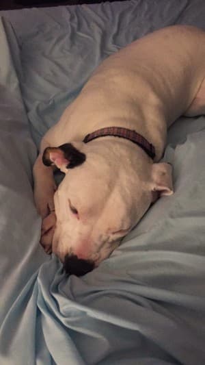 CodyBuds77's LeafedOut Profile