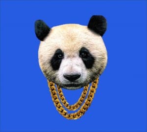 Tony_Montana's LeafedOut Profile