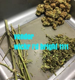 weed1120's LeafedOut Profile