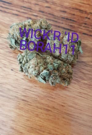 JUBHGVFG's LeafedOut Profile