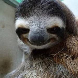 RachRed80's LeafedOut Profile