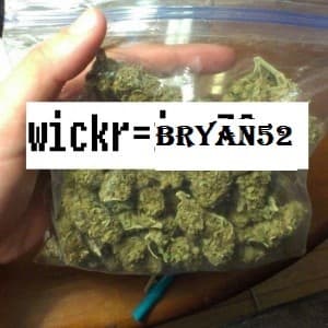 sertykjhg's LeafedOut Profile
