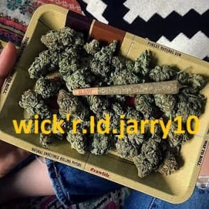 kikikiivedorl12's LeafedOut Profile