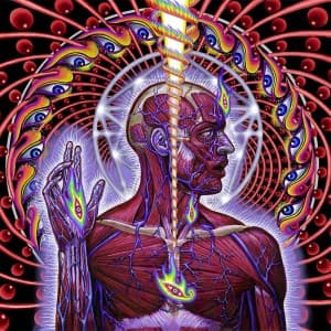 SpiralisLateralus's LeafedOut Profile