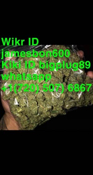 cannaboy420's LeafedOut Profile