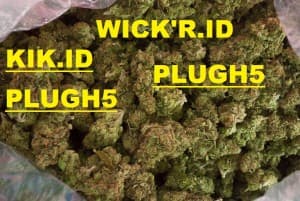 lkdsargfy420's LeafedOut Profile