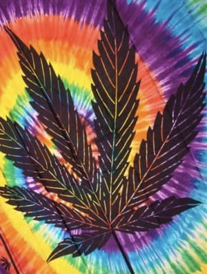 Herbseeker420's LeafedOut Profile