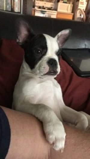 Mckelroy83's LeafedOut Profile