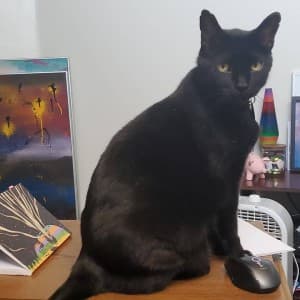 Salt_Maintenance's LeafedOut Profile