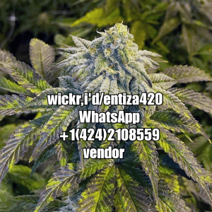 xiuycxhh420's LeafedOut Profile