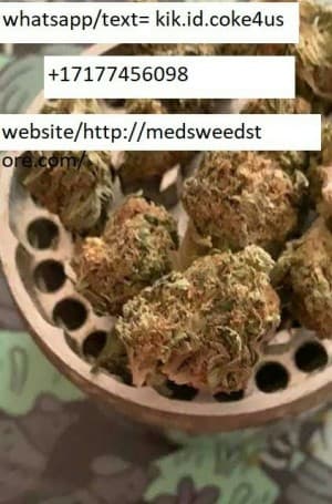 BUYMEDICALCANNABISFROMMEDSTORECOM's LeafedOut Profile