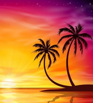 SwaythePalmTree's LeafedOut Profile