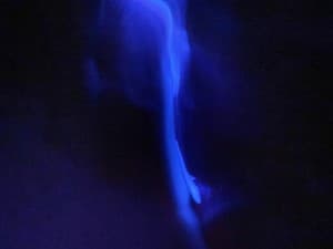 Guy_Cubensis's LeafedOut Profile