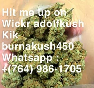 Kcdaklm's LeafedOut Profile