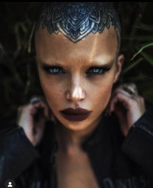 shay666's LeafedOut Profile
