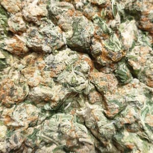 Akcashmoney187_'s LeafedOut Profile