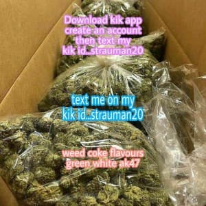 QUALITY-WHITE-WIDOW-FOR-SALE's LeafedOut Profile