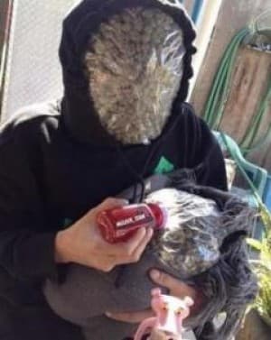 M4RC3U's LeafedOut Profile