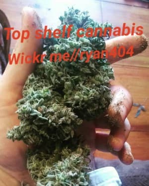 Rickyben420's LeafedOut Profile