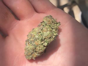 Cmac420's LeafedOut Profile