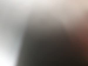 Crumbedbiscuit's LeafedOut Profile