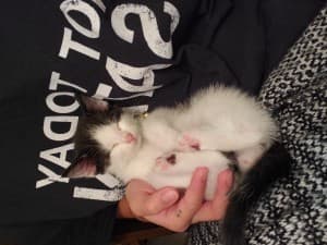 Highrightmeow15's LeafedOut Profile