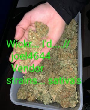 Showboy4440's LeafedOut Profile