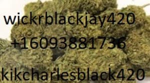 fgdgghwvv's LeafedOut Profile